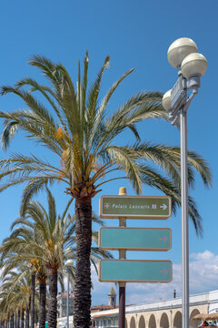 Street signs with palm tree Nice, France