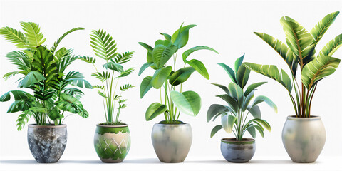 Fototapeta premium Various flowers plant in the pots isolated on white version 10