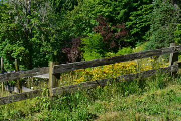 An image of a old wooden agricultural fence overgrown with weeds.