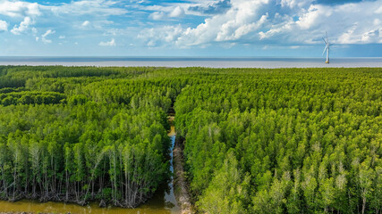 Aerial view of mangrove forests and the Ca Mau cape Sea in Ca Mau, Vietnam, highlighting the region’s natural beauty and biodiversity