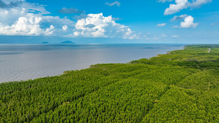 Aerial view of mangrove forests and the Ca Mau cape Sea in Ca Mau, Vietnam, highlighting the region’s natural beauty and biodiversity