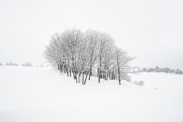 Snow Scenery of Daegwallyeong, Gangwon-do, Korea