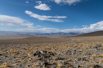 Panorámica en el camino a Antofagasta de la sierra, Catamarca, Argentina.