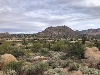 Landscape Arizona