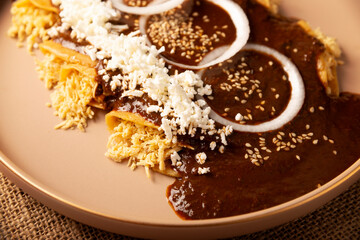 Chicken Enmoladas. In Mexico they are called Enchiladas de Mole Poblano, corn tortillas folded and filled with shredded chicken bathed in a sauce of chilies and many more ingredients called mole.