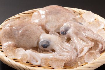 ［山形県　庄内産］ボウズイカ