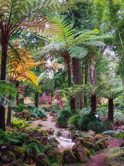 Colorful tropical landscape with giant ferns and stream