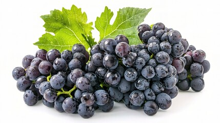 Fototapeta premium Fresh and Clean Broccoli Isolated on White Background Perfect for Culinary Use, Healthy Eating Concepts, Diet Plans, and Organic Food Promotion