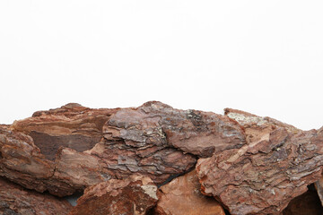 Pieces of tree bark on white background, top view. Space for text