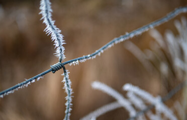 Fence wire covered in hoar frost close up macro