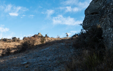 Beautiful mountainous landscape rocks stones bare blue sky Central Otago