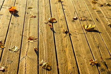 fall leaves on light brown textured  wooden boards room for text suitable as background or banner