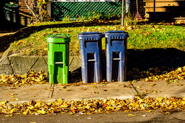 Green garbage systems: compost (green) and recycling (blue) bins out for curbside pick up in the ...