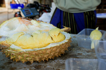 Delicious Fresh Durian Montong Fruit at Organic Market