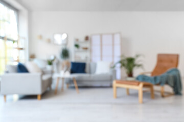 Blurred view of living room with grey sofas, armchair and plants