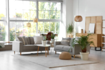 Interior of stylish living room with grey sofas, folding screen and plants