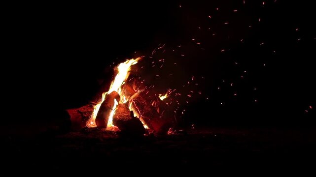 Night Bonfire Burns in the Dark Forest - Isolated on Black. Slow Motion. Flaming Campfire at Nighttime. Place for Bonfire. Fire Pit Outdoors, Wood on Fire, Flying Sparks and Smoke - Static Shot