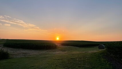 sunset over the field
