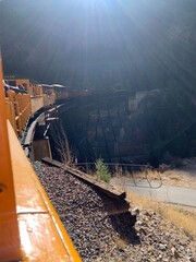 train on elevated track in the woods