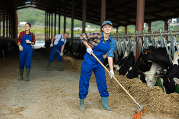 Adult female farmer sweeping hay with broom in cowshed on farm