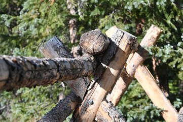 Log Fence Structure