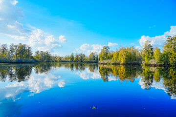 Winter Landscape of Hillsborough river at Lettuce lake park	
