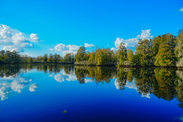 Obraz premium Winter Landscape of Hillsborough river at Lettuce lake park 
