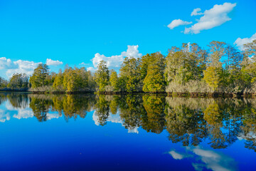 Winter Landscape of Hillsborough river at Lettuce lake park	
