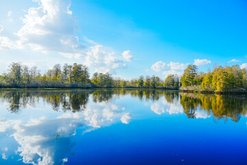 Fototapeta premium Winter Landscape of Hillsborough river at Lettuce lake park 