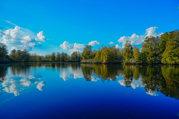 Winter Landscape of Hillsborough river at Lettuce lake park	
