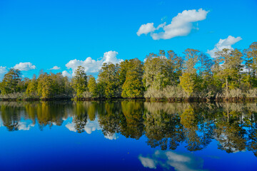 Winter Landscape of Hillsborough river at Lettuce lake park