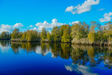 Fototapeta premium Winter Landscape of Hillsborough river at Lettuce lake park 