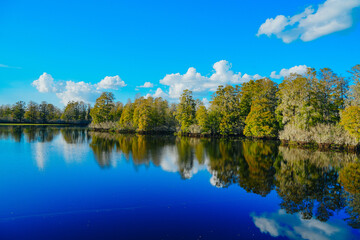 Obraz premium Winter Landscape of Hillsborough river at Lettuce lake park 