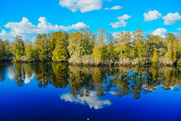 Winter Landscape of Hillsborough river at Lettuce lake park	
