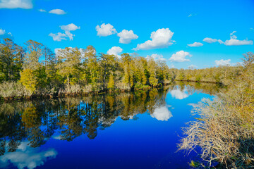 Winter Landscape of Hillsborough river at Lettuce lake park	
