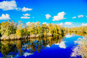 Winter Landscape of Hillsborough river at Lettuce lake park	
