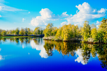Winter Landscape of Hillsborough river at Lettuce lake park	
