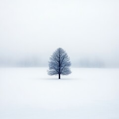 A single bare tree stands tall in a field of snow under a foggy sky.