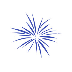 Firework Icon