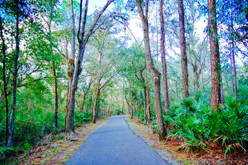 Winter Landscape of Hillsborough river at Lettuce lake park	
