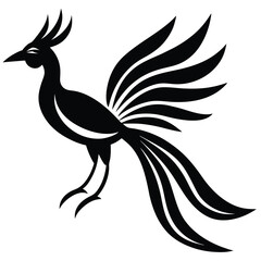 Bird of Paradise Exotic Flower Vector.