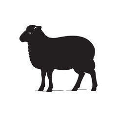 Silhouette of sheep, sheep icon, Sheep silhouette isolated on white background. Silhouettes of farm animals, domestic small cattle