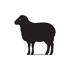 Silhouette of sheep, sheep icon, Sheep silhouette isolated on white background. Silhouettes of farm animals, domestic small cattle
