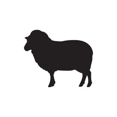Silhouette of sheep, sheep icon, Sheep silhouette isolated on white background. Silhouettes of farm animals, domestic small cattle