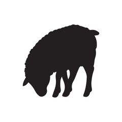 Silhouette of sheep, sheep icon, Sheep silhouette isolated on white background. Silhouettes of farm animals, domestic small cattle