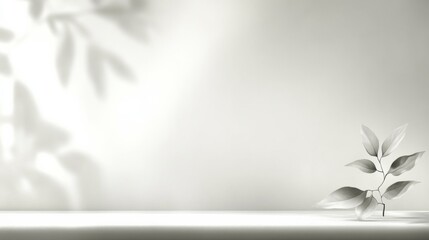 Black white photograph single leaf right side frame empty room