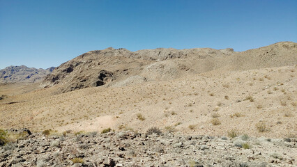Fototapeta premium Roger's spring Lake Meads secret oasis in the middle of the desert