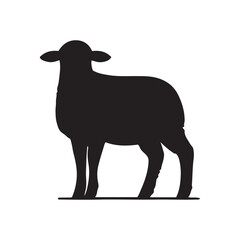 Silhouette of sheep, sheep icon, Sheep silhouette isolated on white background. Silhouettes of farm animals, domestic small cattle