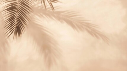Obraz premium Close-up palm tree branch its leaves casting shadows Beautiful texture of beige