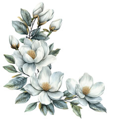 Beautiful white magnolia flowers with delicate leaves create serene and elegant composition, perfect for adding touch of nature to any design